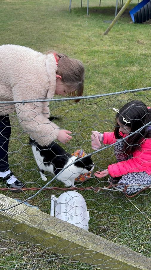 Two children making friends with the farm cat
