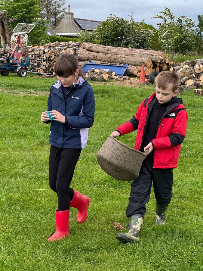 Carrying a basket of woodchip across the field