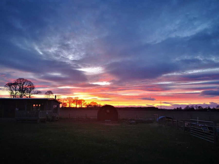 A beautiful sunset over the cabin and pod