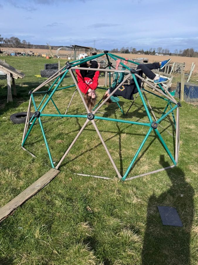 Hanging upside down on the climbing dome, having fun