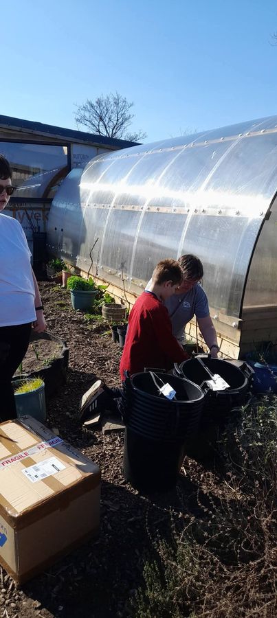 Helping out in the polytunnel with pots and boxes
