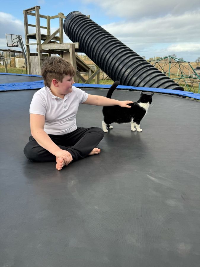 Making friends with the farm cat on the trampoline