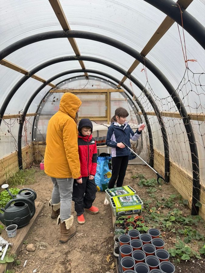 Learning together in the polytunnel with strawberry plants