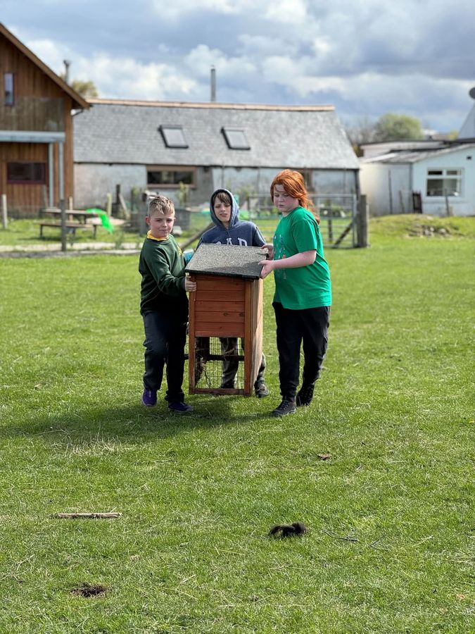 Carrying a rabbit hutch across the field together